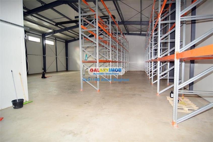 Inchiriere hala 572 mp Chiajna - 15