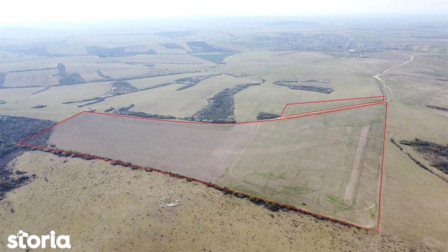 Teren 26.82 ha Ardud | Oportunitate pentru dezvoltare - 5