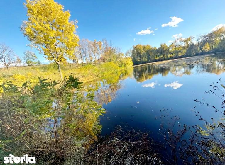 Teren de 5000 mp, în Albota