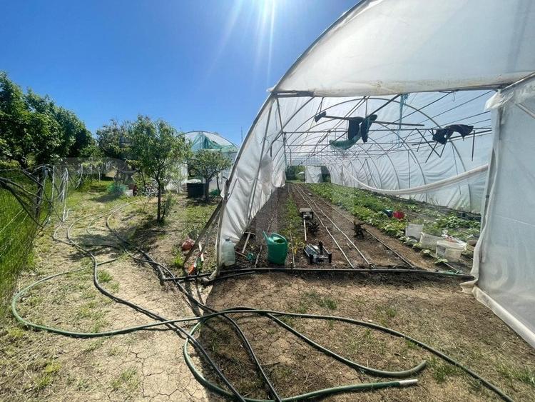 Proprietate cu casa si teren in Oradea - 8