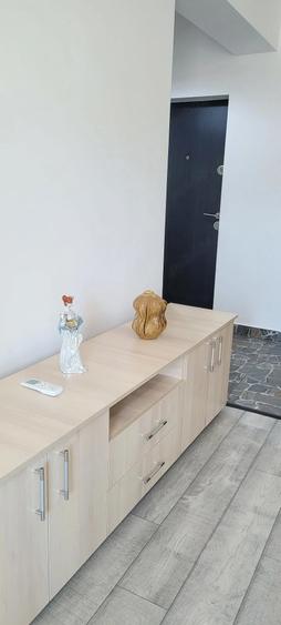 Partic apart 2cam tip studio Bucuresti Sect 4 Drumul Binelui Bl.Viva - 5