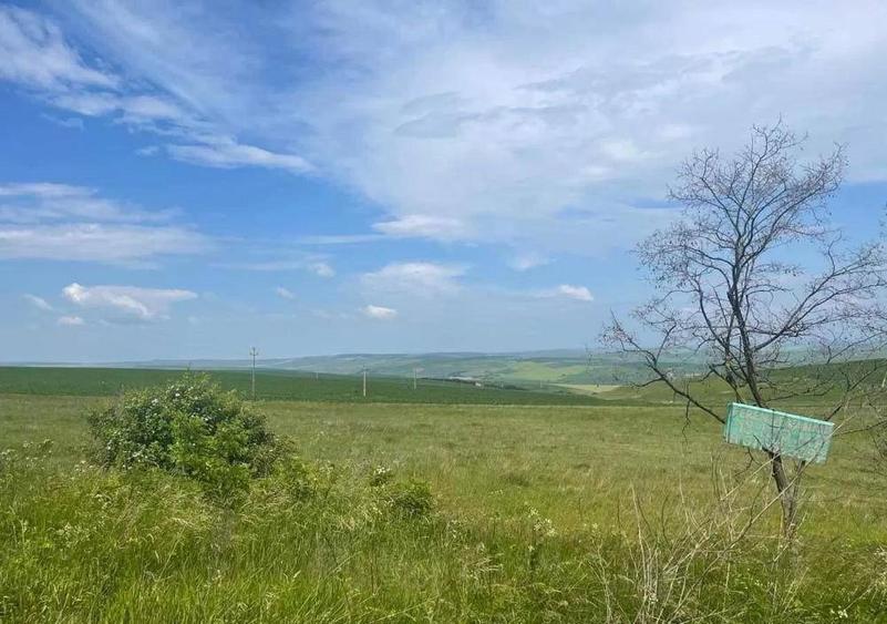 10000 mp teren de vanzare tureni 10 euro mp - 1