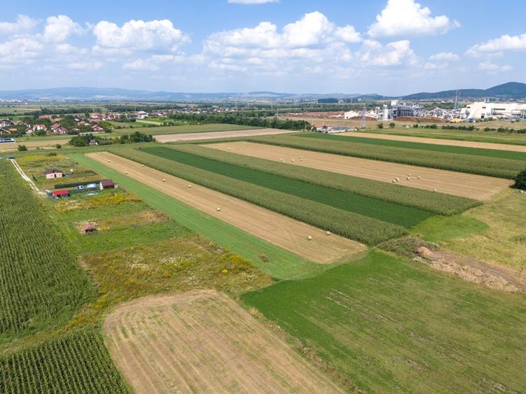 Teren de vanzare - Zona Stupini - COMISION 0% - 7