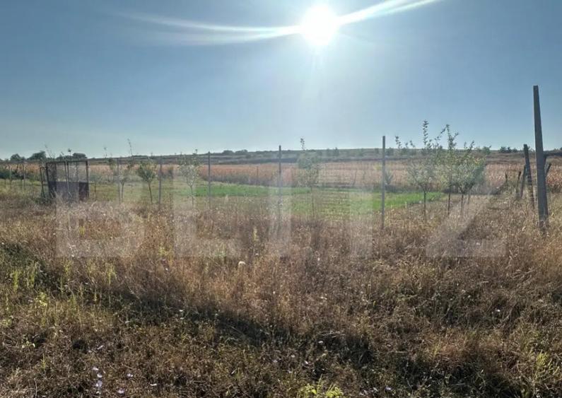 Teren extravilan, Oarda de Jos, 2072 mp, parcele intre 500-5 - 1