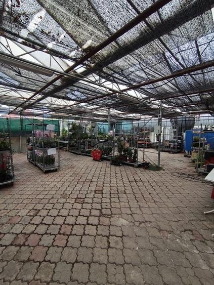 De vânzare – Imobil versatil cu potențial comercial, Brașov - 1