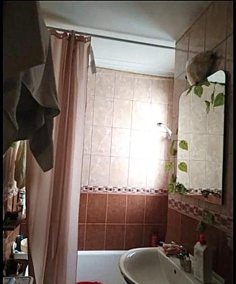 Dristor adiacent - Vitan - 2