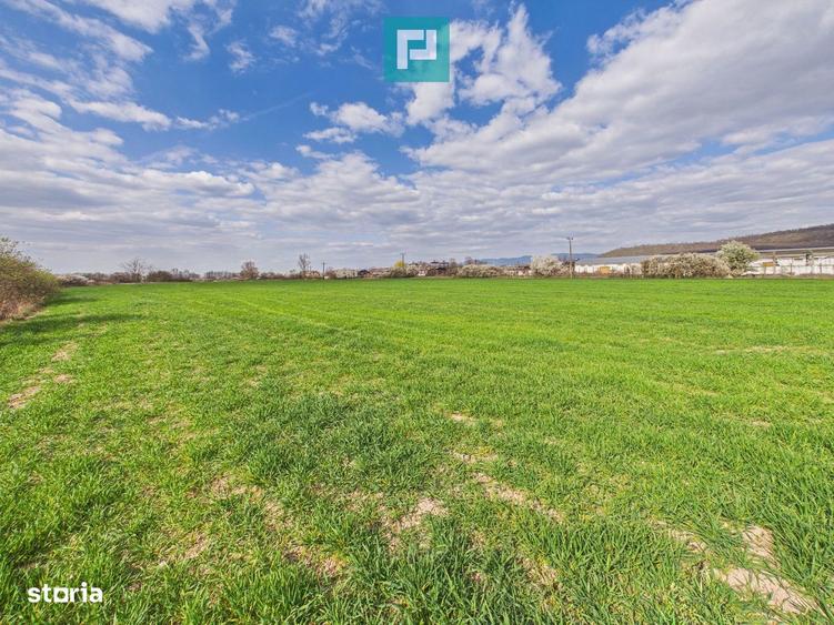 Teren extravilan, 1 ha, in ora?ul Sebi?, Arad - 4