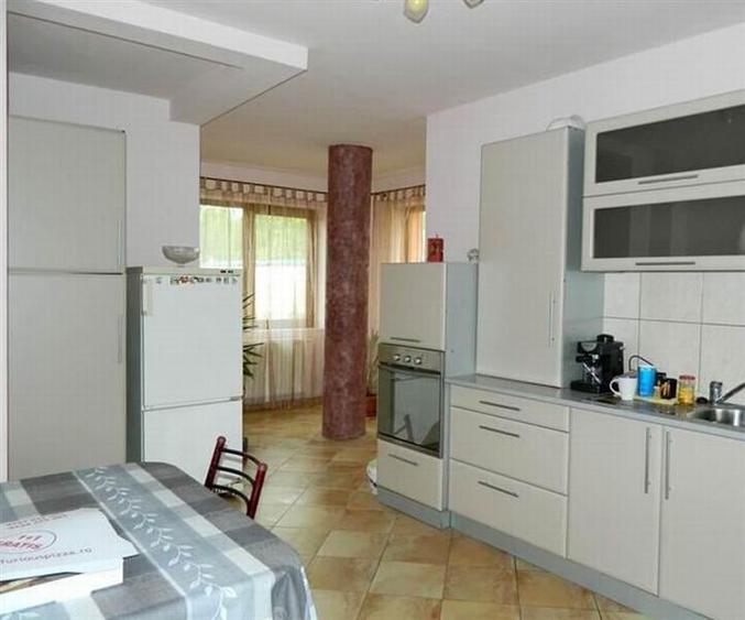 Inchiriere casa cu destinatie birouri in Buna Ziua, Cluj Napoca - 2