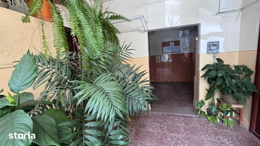 Apartament cu 3 camere decomandat în Dacia