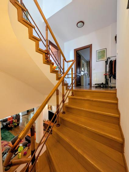 Jiului-Coralilor-Damaroaia,eleganta,robusta,garaj,curte intima,vegetatie matura - 21