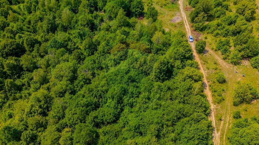 COMISION 0% Teren Grid/Inima Naturii/ Oportunitate de investitie - 7