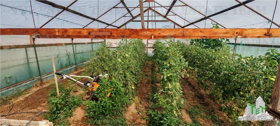 Ferma 3,3ha, din care 2,5ha intravilan, vila 7 camere, D+P+E+M, casa pentru munc - 14