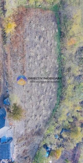 Teren de vanzare 11.766 mp – Costisa, judetul Neamt - 5
