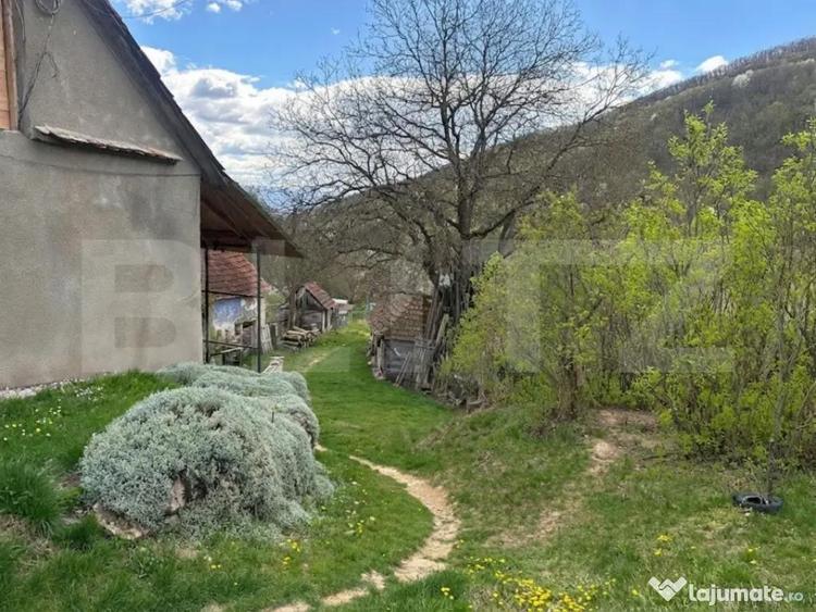Casa cu 1.2 ha teren, lini?te totala, livada, acces asfa - 7
