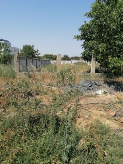 Teren intravilan Mineri, Jud. Tulcea, suprafață 856 m - 4