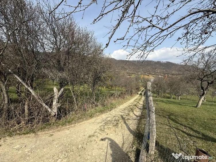 OPORTUNITATE !Teren 1 Hectar Strada Nucului -PRIVELISTE P... - 6