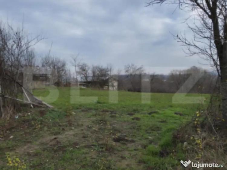 Teren intravilan 3000mp ,sat Plopu, Prahova - 3