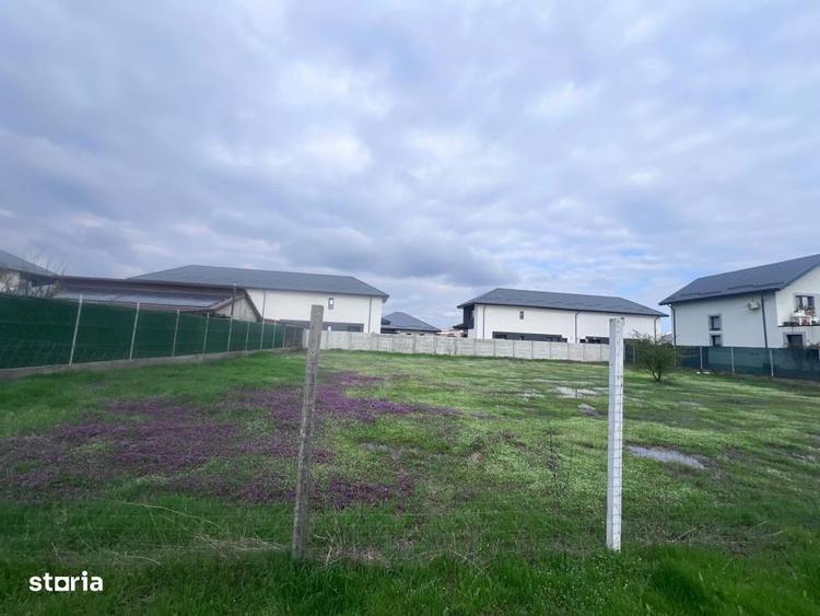 Teren de Vanzare in Bragadiru strada Crisul Repede 173 - 3