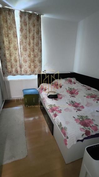 Teiul Doamnei 2 cam 35 mp SU ,cf 2 , an 1965, pet 63000 eur - 2