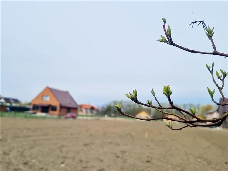 Teren 1.700 mp intravilan, natura, vecinatati bune, potential dublu, Lunca Calni - 18