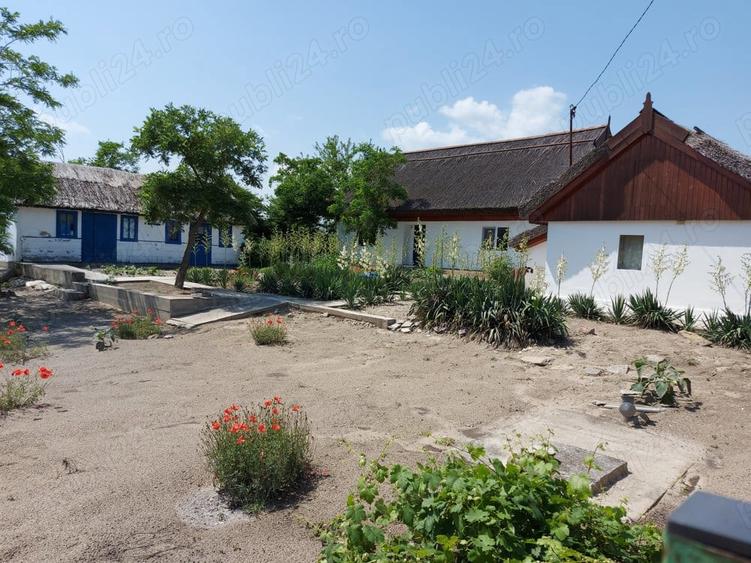 Delta Dunarii, Romania, localitatea LETEA, proprietate de VIS, - 1