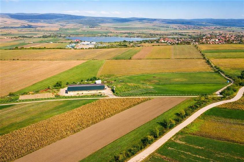 FILM! 18.000 mp, extravilan, agricol+ constructii:ferma,investitii agricole, Rot - 1
