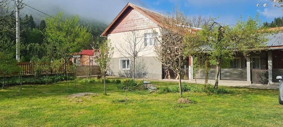 vand casa cu teren in muntii Apuseni - 5