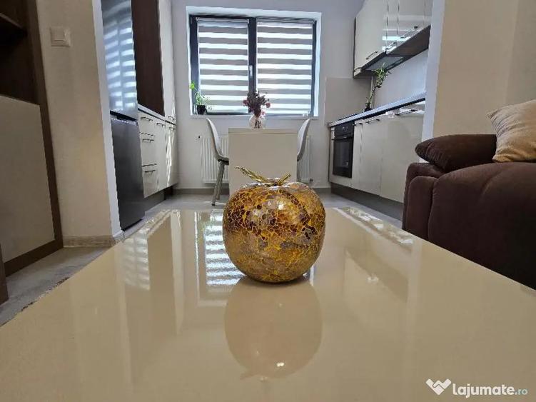 Inchiriez apartament 2 camere Hils Pallady - 2