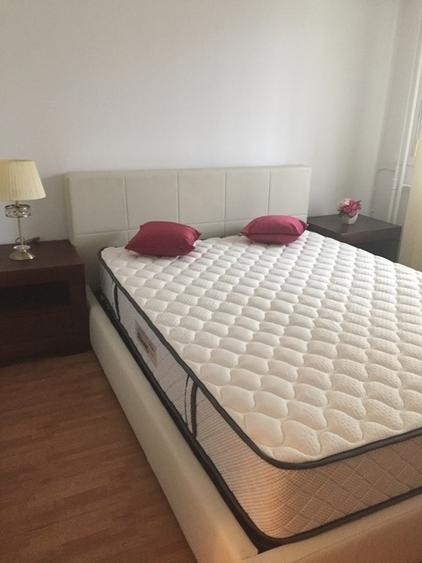 Apartament 3 camere lux,bd-ul Unirii,intre Piata Unirii si Piata Constitutiei. - 8