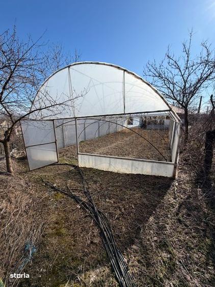 Vand casa plus teren Pietroasele - 3