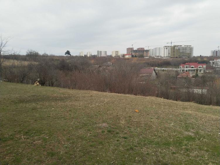 Teren proprietar Copou Iasi - 5