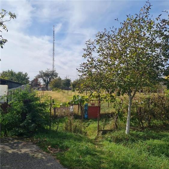 Casa caramida plus o casa de vaiuga - teren generos 1400 mp - doua fronturi stra - 4