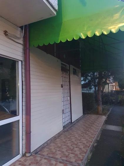 Spatiu Comercial 70 mp Astra - 4