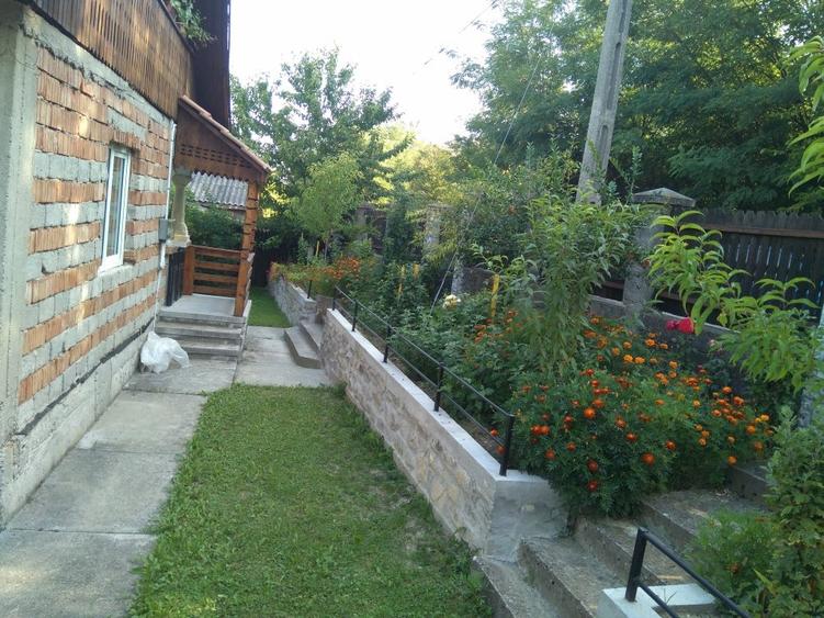 Casă de vânzare, Ocnița (Ocnele Mari, Vâlcea), zonă superbă - 11