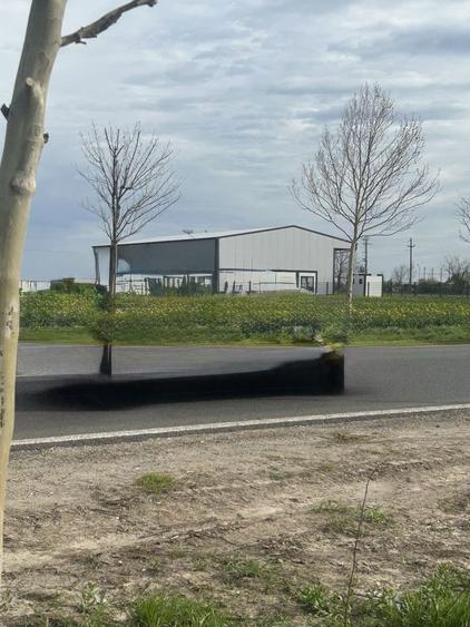 Teren extravilan Alexandria de Inchiriat sau de vanzare. - 4