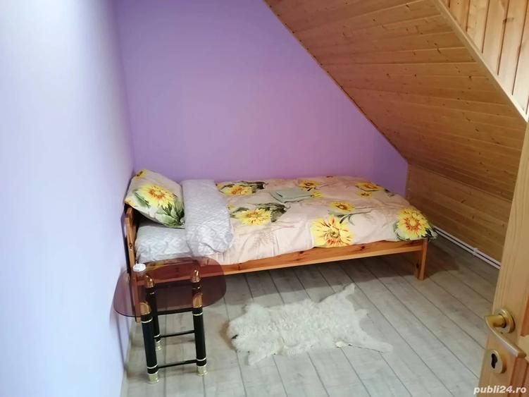 Casa De Vanzare cu parter, mansarda, beci boltit tip crama ?i ?ura amenajata foarte spa?ioasa - 6