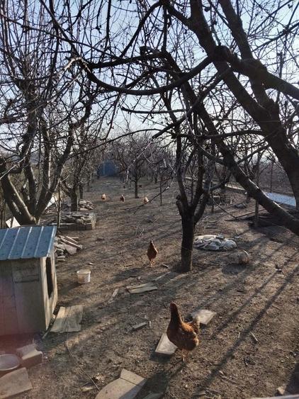 Vanzare casa cu mansarda in Puchenii Mosneni, Prbova - 5