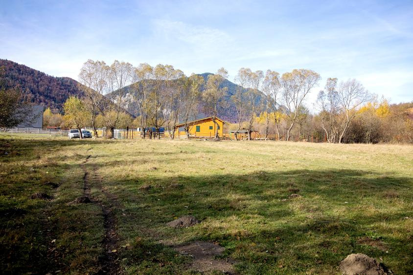 Teren intravilan 2500mp Tohanita Zarnesti- ideal casa de vacanta - 13