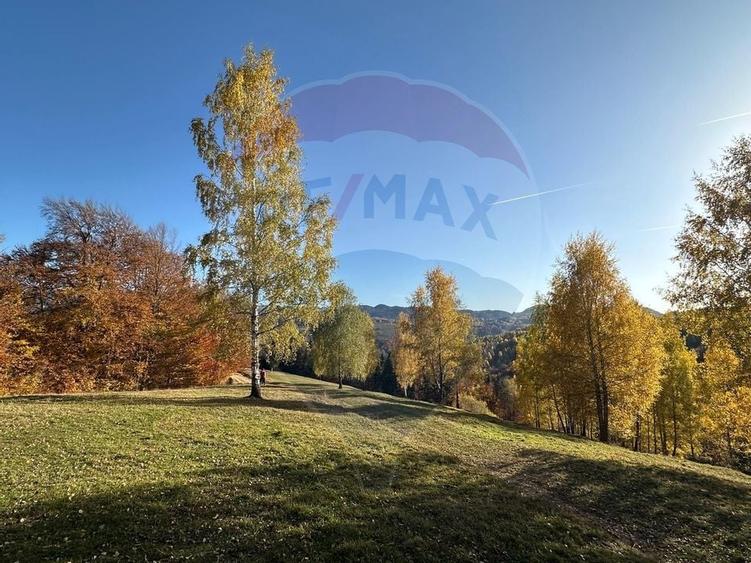 Oportunitate de investiție ! Teren de vis în Pestera - 125.370 mp - 9