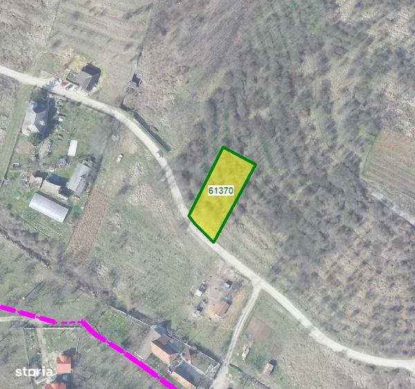 Teren intravilan 867 mp Paleu, zona str. Padurii zona Oncea - 5