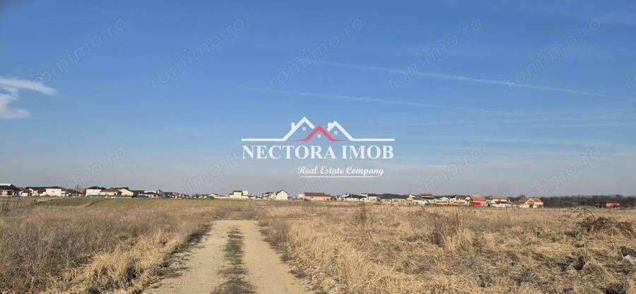 NECTORA IMOB Exclusivitate - Teren Intravilan, 507 mp, Zona CIHEI - 5