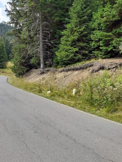 Teren Moroieni-Padina - 1