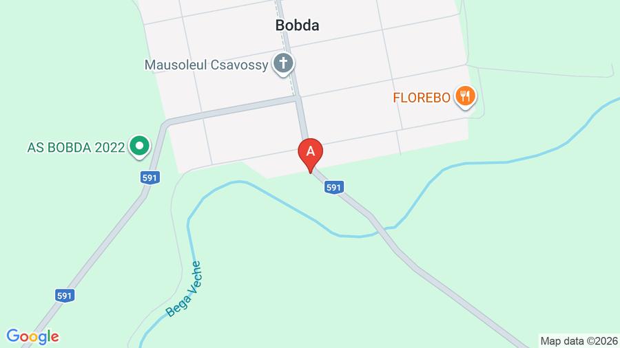 Casa de vanzare la bobda  - 1