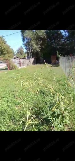 Casa de vanzare Draghici - Arge? - 4