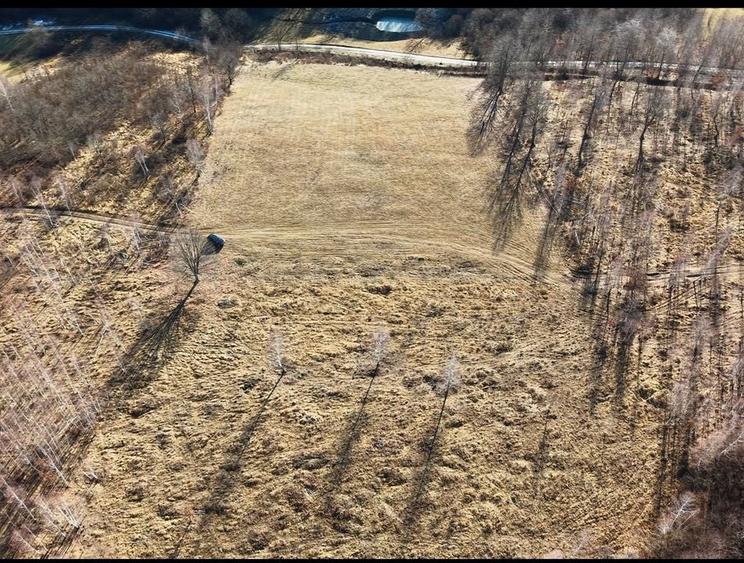 Teren pasune si padure 2,4ha - 1