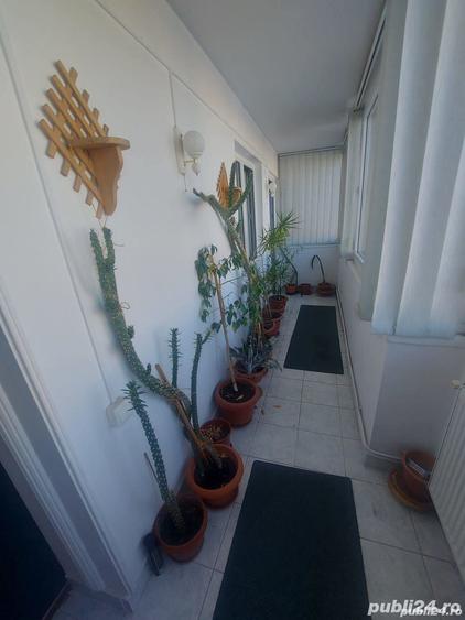 Birou sau apartament de locuitcu trei camere ultracentral cu un view de invidiat - 8