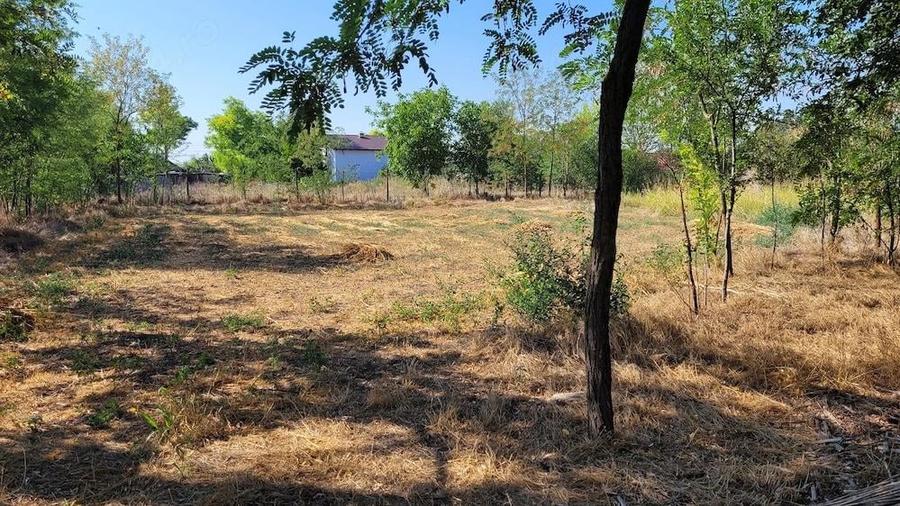 Vand casa Tudor Vladimirescu Braila, 15min de oras - 4