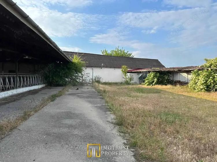 Teren 9.508 mp cu 2 fronturi stradale Sofronea, Arad - 6