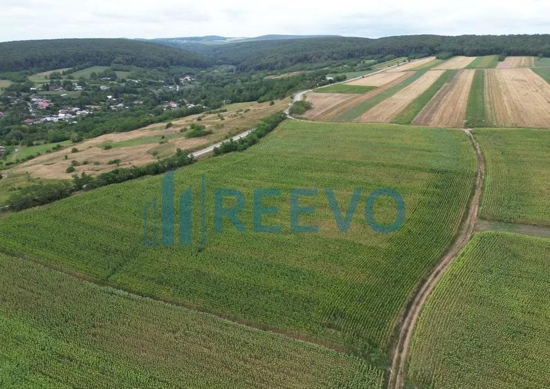 Teren de 3.600 mp Racova - 1