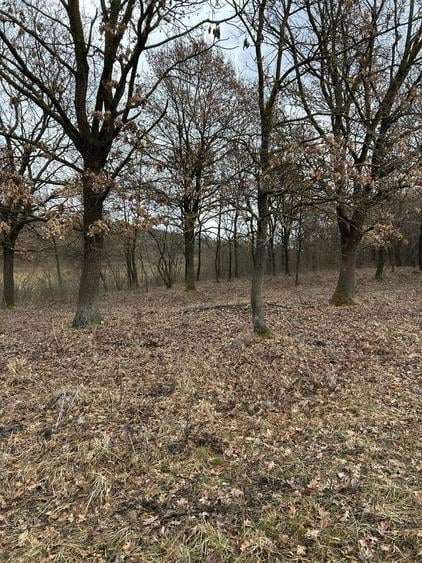 Teren de vanzare Nimigea de Jos, Taure - 4